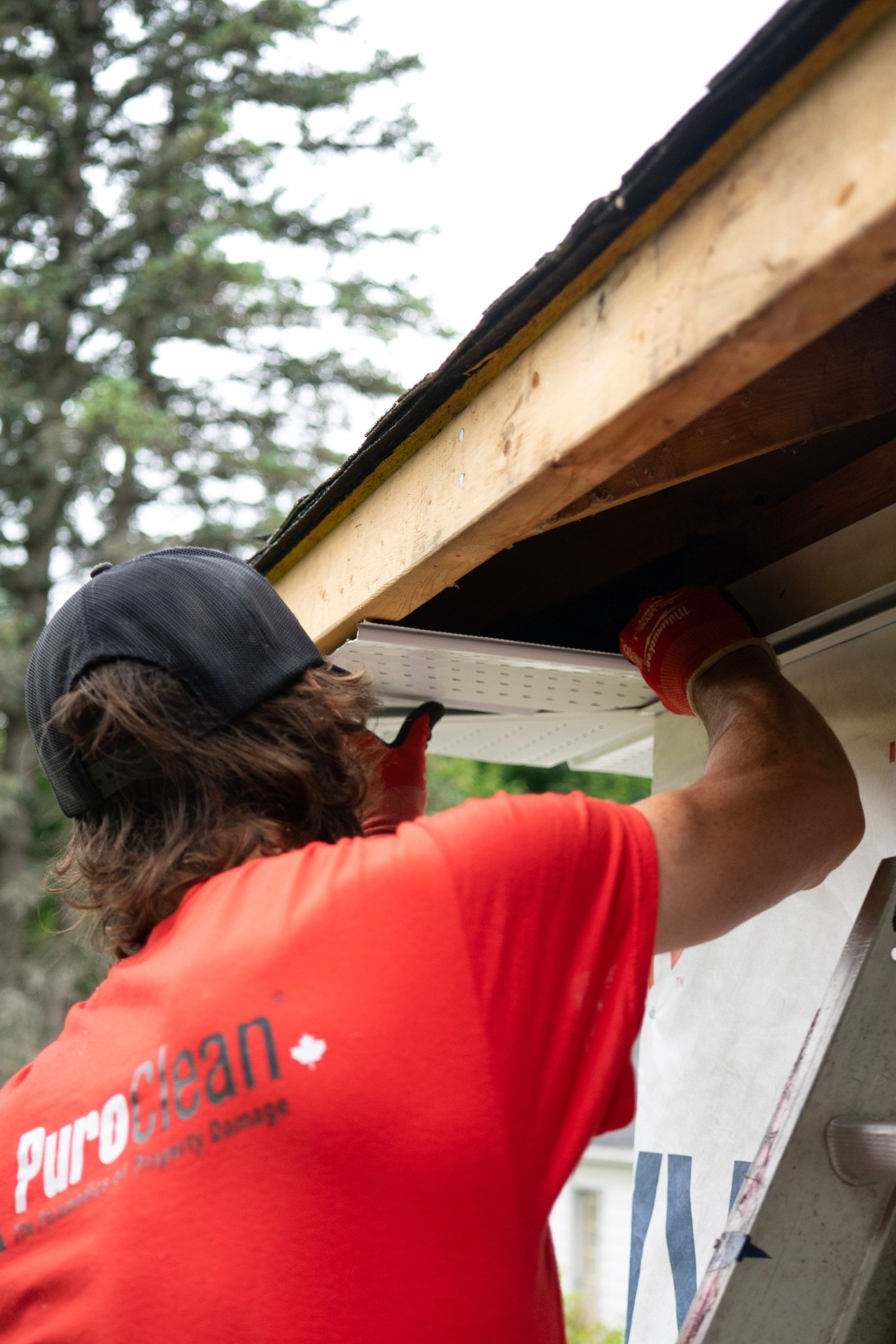 Gutters & Guards