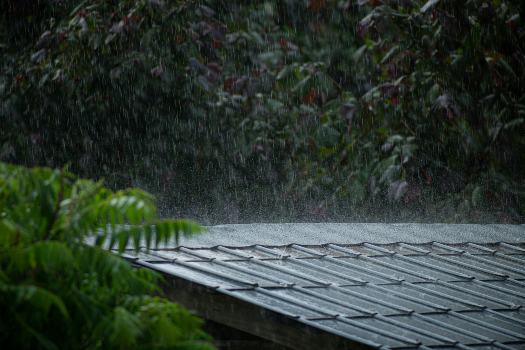 Storm & Hail Damage